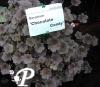 Geranium Chocolate Candy